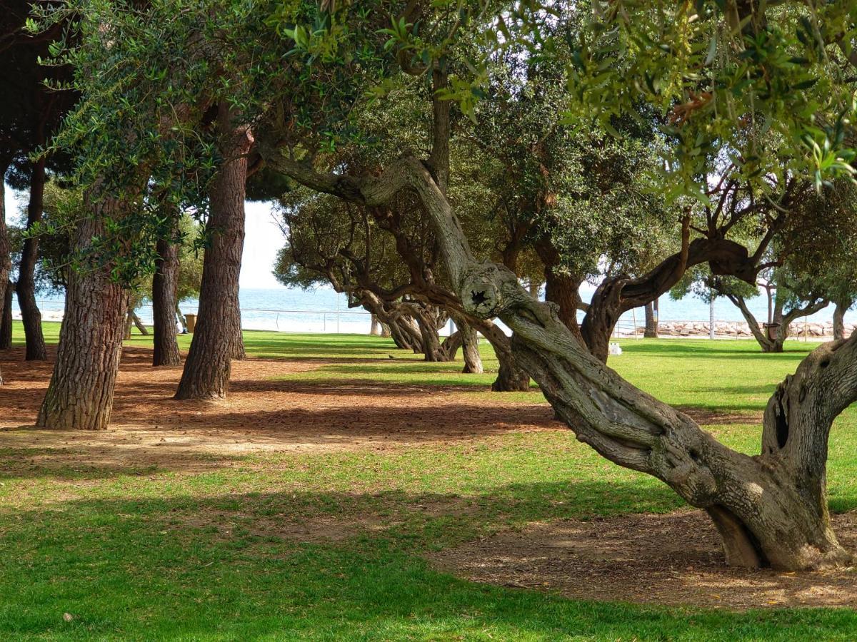 坎布里尔斯Primera Linia De Mar, Zona Tranquila公寓 外观 照片